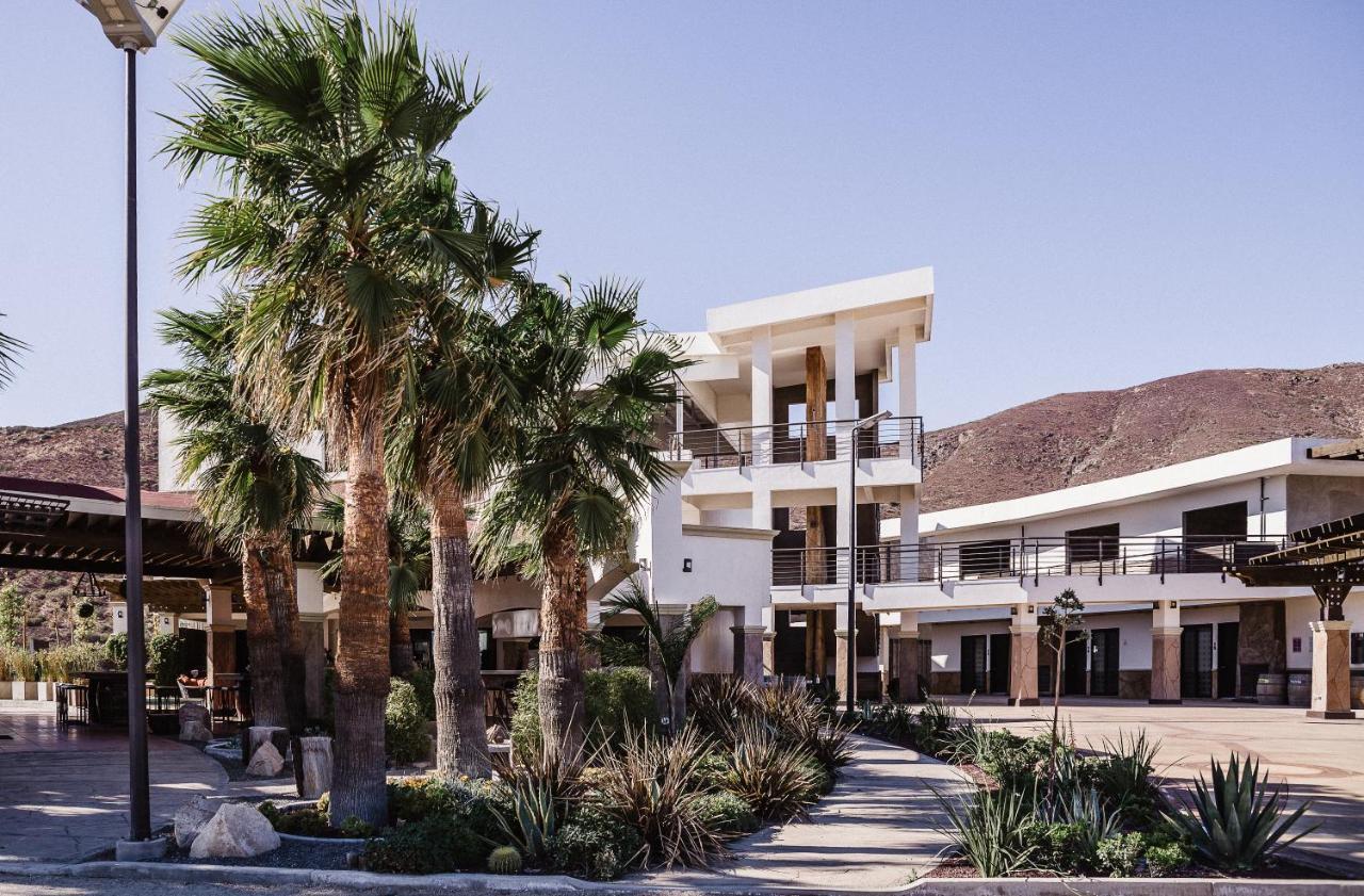 Limbo Hotel Boutique Valle de Guadalupe Dış mekan fotoğraf